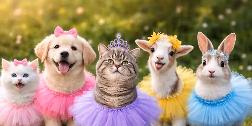 ERC 2.2 or 4.4 Tutu Race