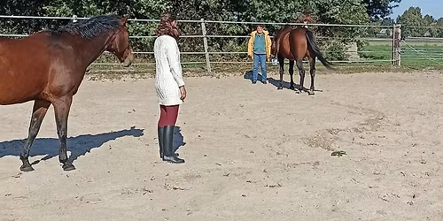 \ud83d\udc96 Cacaoceremonie & Groepshealing in het veld van de paarden \ud83d\udc0e\u2728
