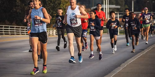 Williams Toyota Wineglass 5K