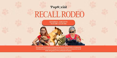 RECALL RODEO