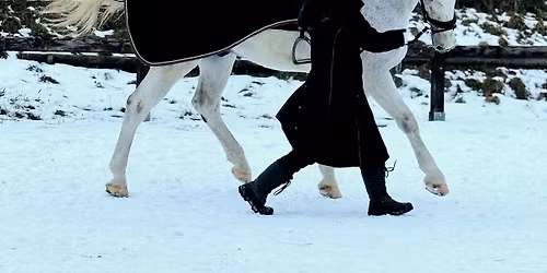 Ve\u0159ejn\u00fd tr\u00e9nink ze zem\u011b i ze sedla s Denisou Drake