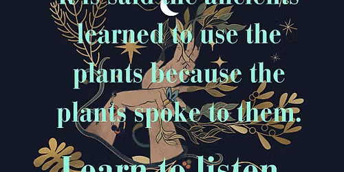Plant Spirit Medicine