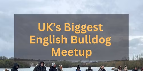 UK\u2019s Biggest English Bulldog Meetup