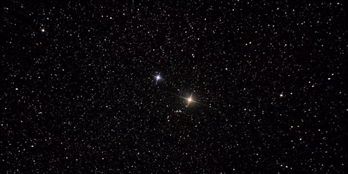 The Napa Perseid Experience