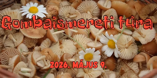 Gombaismereti t\u00fara