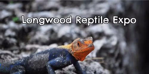 Longwood Reptile Expo - Diamondback Productions