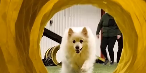 4x Bl\u00e5b\u00e4r & 2 x Bj\u00f6rnb\u00e4r