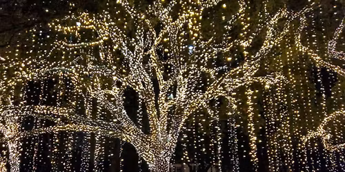 Parking Night Shift Before Christmas - Houston