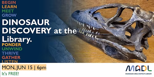 Dinosaur Discovery