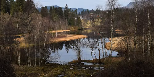Steg for Steg - Brakvatnet rundt