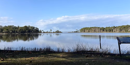 Nature Connection: Center, Connect, Release