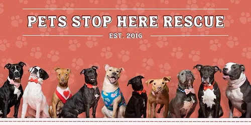Bingo for the pups!