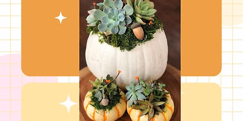 Pumpkin Succulent Social At The Shoppe