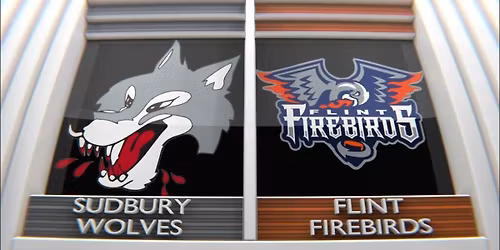 Flint Firebirds at Sudbury Wolves