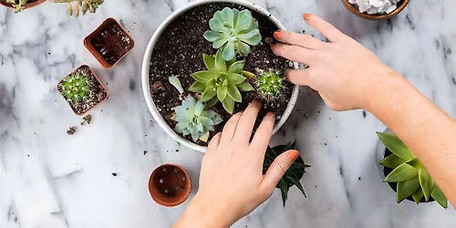Succulent workshop