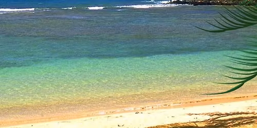 THE CABANA BOYS - Live at the Coffeehouse