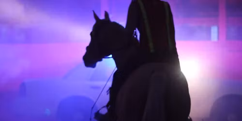 Ponies & Poles @ OHE