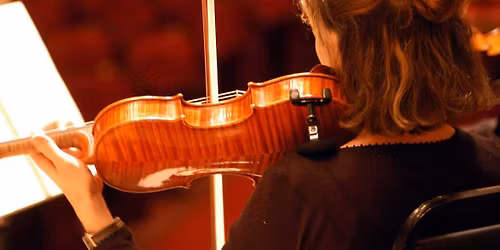 Flint Symphony Orchestra: Enrique Diemecke - Shadow and Light