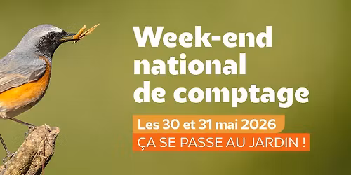 Comptage national des oiseaux des jardins \/\/ Mai 2026