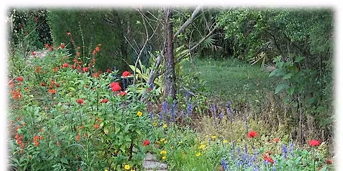 Florida-Friendly Gardening for Pollinators