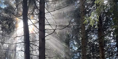 Deep connected Breath - eine Reise zu dir