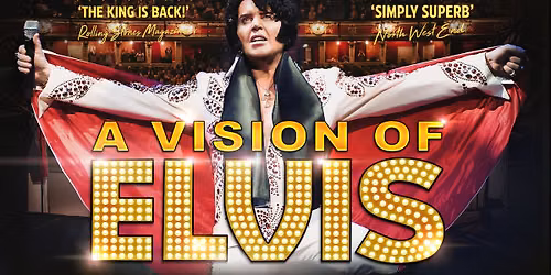 A Vision of Elvis