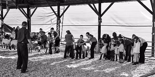 2026 Benton County Fair & Rodeo