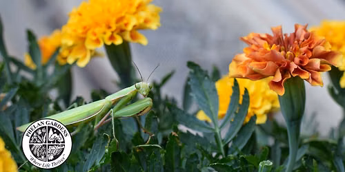 Creepy Crawlies That Are a Treat