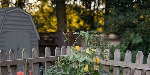 Gardening Session At Sunday Mills