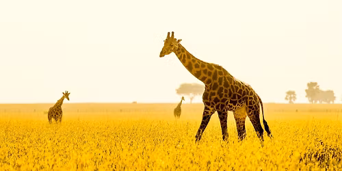  Petr Jan Jura\u010dka - Cesty do Afriky | Praha