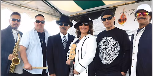 At the Flea with Jimmy D\u2019s Stone Cold Performing Live!