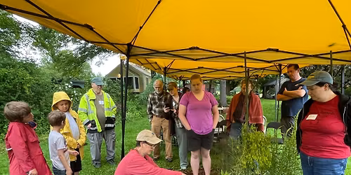 Planting the Dye Garden