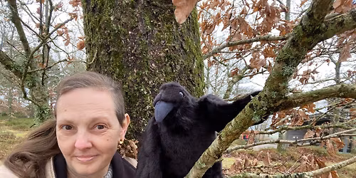 Vikingasagor i skymningen 