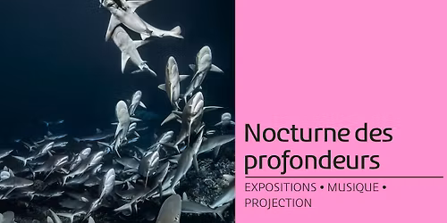 Nocturne des profondeurs