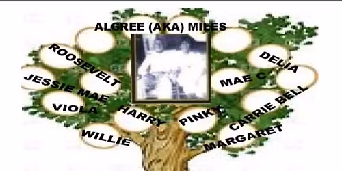 Seabon Family Reunion 2026