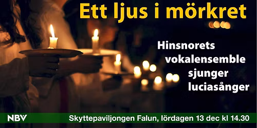 Ett ljus i mörkret