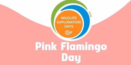 Pink Flamingo Day - NEW DATE \ud83e\udda9