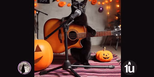 Black Cat Open Mic - Live & In Person