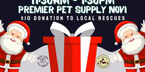 Pet Pictures W\/ Santa & Ruff Life Photography!