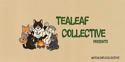 Valentina \/ SALINE \/ TBD