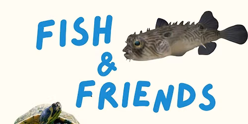 Fish & Friends Summer Camp