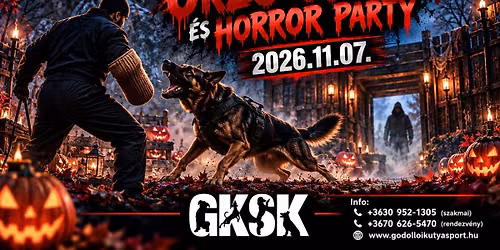 IX. \u00c9jszakai \u0150rz\u0151-V\u00e9d\u0151 \u00e9s Horror-Party 