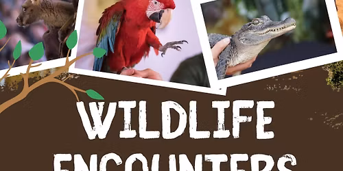 Wildlife Encounters