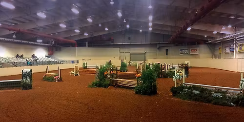 CHRISTMAS HORSE SHOW