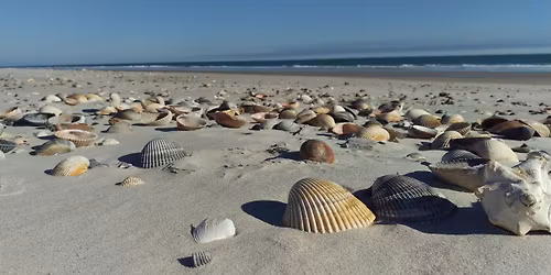 Shelling at Bear Island