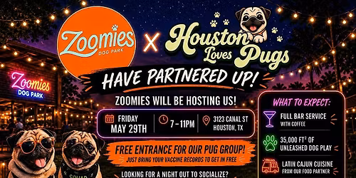 Pugs Neon Party with Houston Loves Pugs x Zoomies
