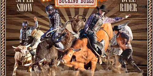 Benabilla Auctions Let\u2019s Rodeo Dubbo Bucking Bulls