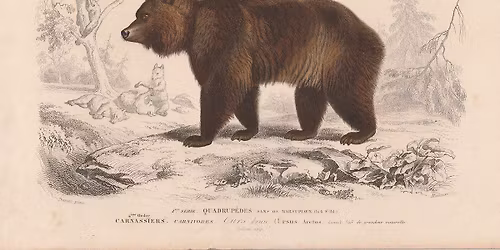 Lee Silliman Presents Old Ephraim: The Grizzly Bear in Frontier History