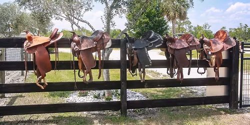 Black Friday Tack Sale