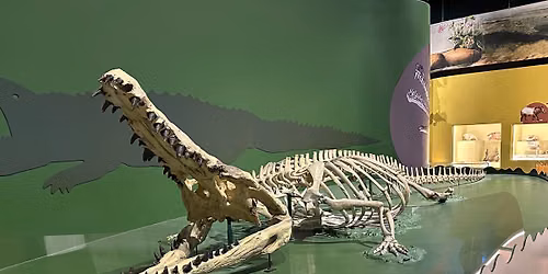 Kid Tours: Alligators, Crocodiles\u2014Oh My!